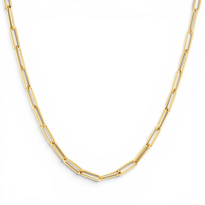 Lotus Diamond 14K yellow gold paper clip chain necklace with semi-hollow links and lobster clasp.
