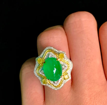 3.85 carat emerald ring/pendant in wood zo